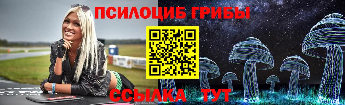 Тобольск  Псилоцибиновые грибы Psilocybine cubensis  Вход с VPN 